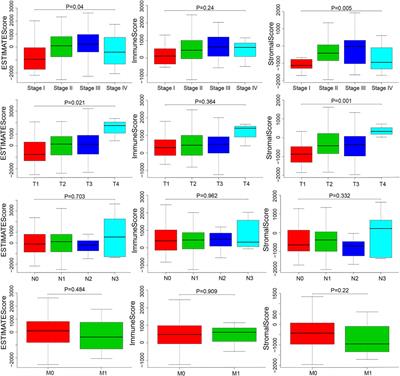 Identification of Prognostic Related Genes of Tumor Microenvironment Derived From Esophageal Cancer Patients